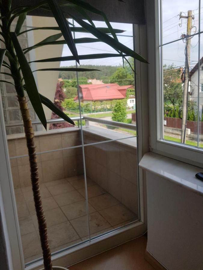 Lara Guest House Sfantu Gheorghe  ภายนอก รูปภาพ